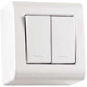 CAIXA C/ 2 INTERRUPTORES SIMPLES 10A